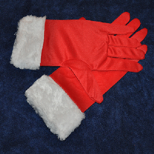 Deluxe Red Fur Trimmed Gloves Image